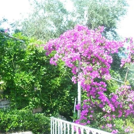 Aliki Agios Stefanos (Thinali)